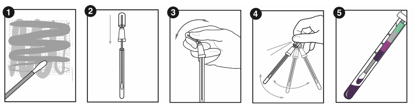 Step-by-step guide for using the Mold Surface Test, demonstrating how to collect and test samples.