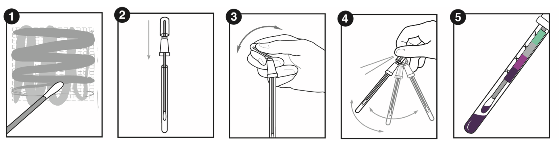 Step-by-step guide for using the Mold Surface Test, demonstrating how to collect and test samples.